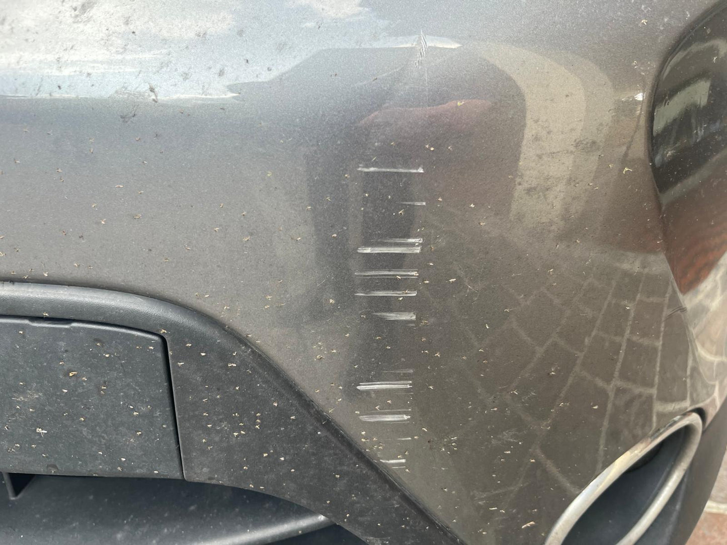 Nissan Qashqai 1.5 dci 110cv E6