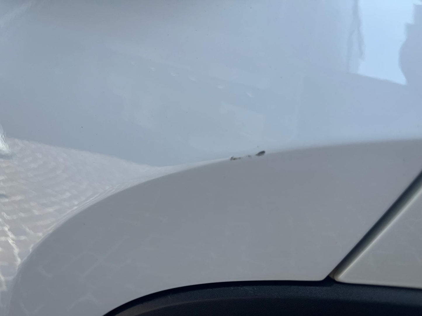 Skoda Kodiaq 7 POSTI 2.0 tdi Ambition dsg